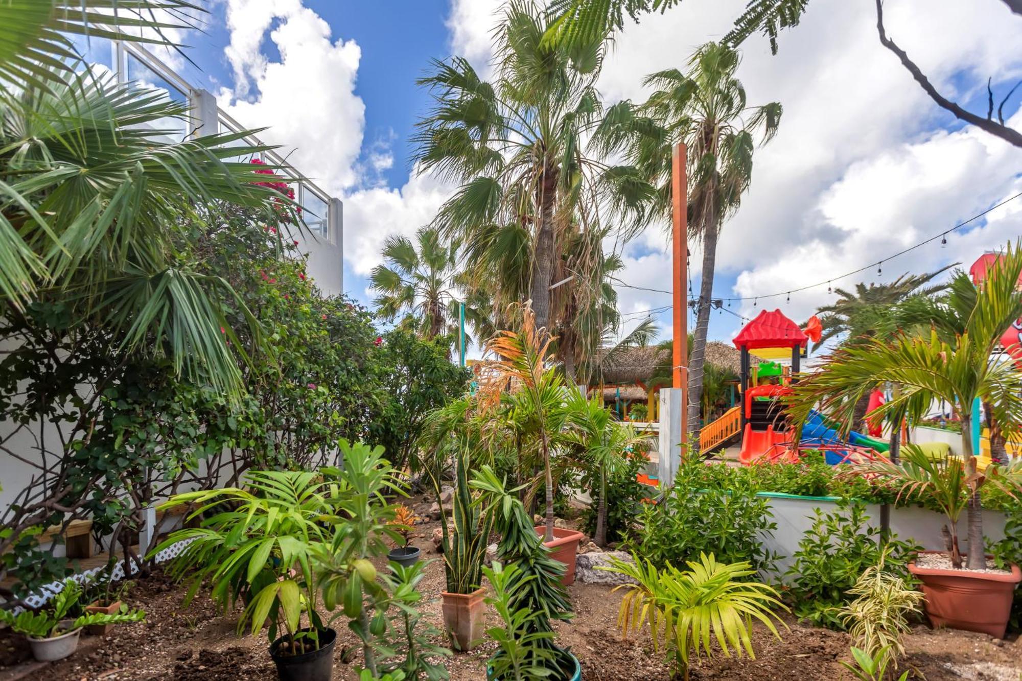 Maho Beach House - Grand Studio - Oceanview Suite ภายนอก รูปภาพ